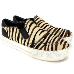 Ash Jungle Zebra Print Calf Hair Sneakers Womens Size 7.5 - 8 Animal Print
